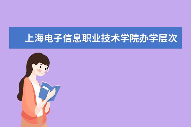上海电子信息职业技术学院办学层次如何 上海电子信息职业技术学院简介