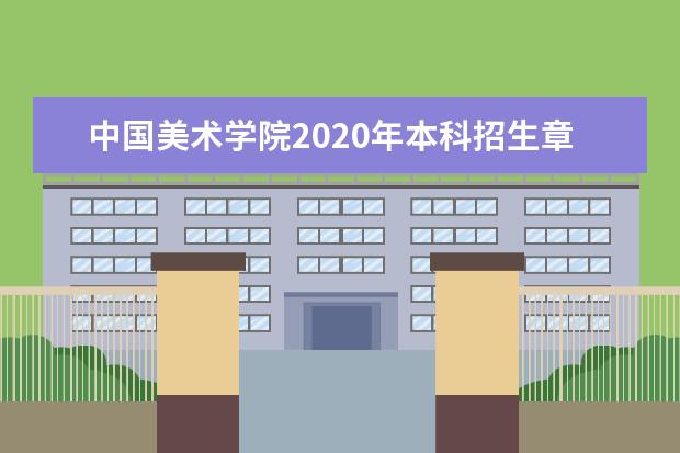 中国美术学院2020年本科招生章程（附：2020年本科招生考试报名公告）  怎么样