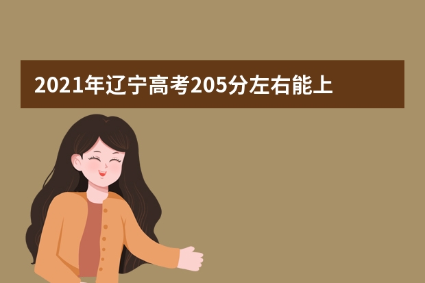 2021年辽宁高考205分左右能上什么样的大学