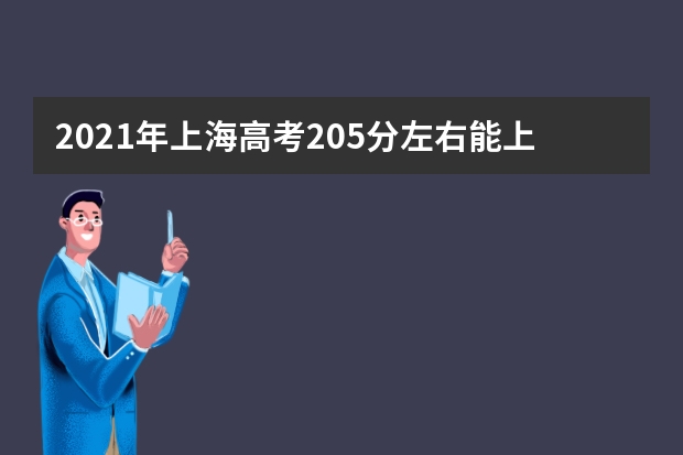 2021年上海高考205分左右能上什么样的大学